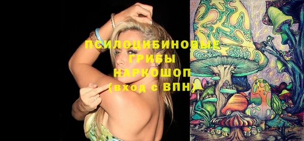 экстази Няндома