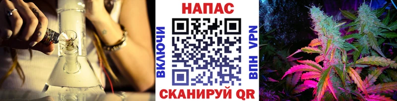 Канабис SATIVA & INDICA  Светлогорск 